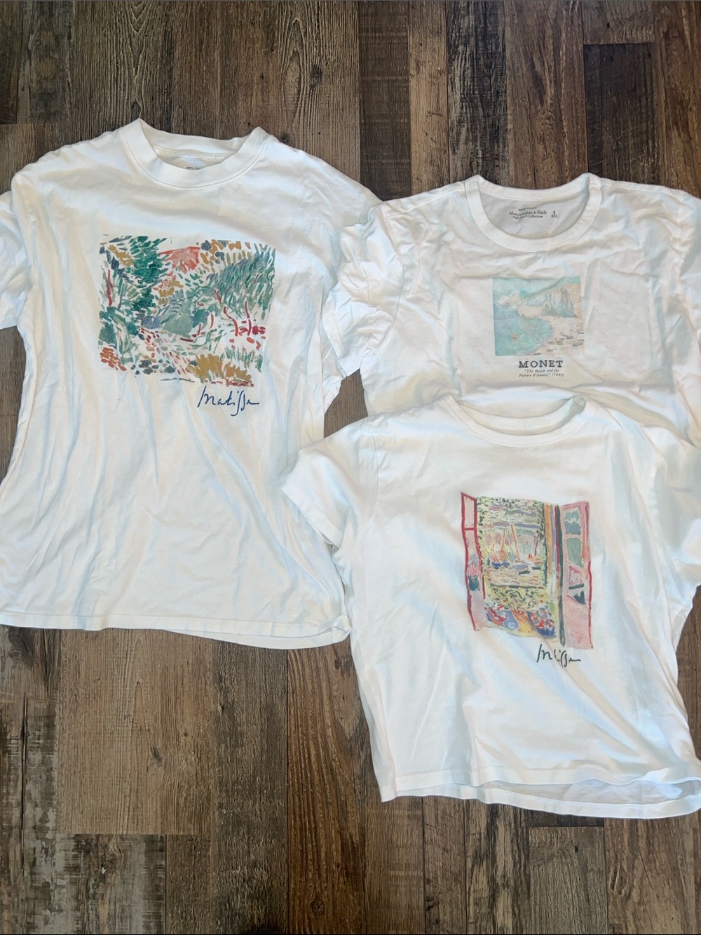 Abercrombie & Fitch Matisse and Monet Art T-shirt Bundle